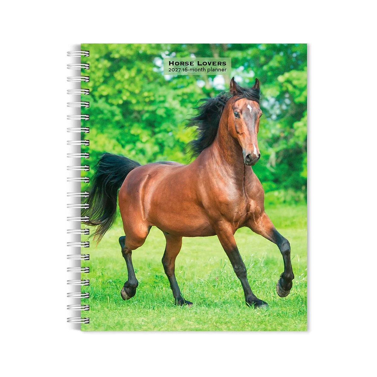 BrownTrout Horse Lovers 2027 Engagement Calendar – Greenhawk Equestrian ...