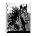 BrownTrout Le noble cheval Calendrier 2027