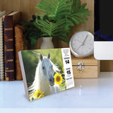 BrownTrout Ce que les chevaux nous apprennent Calendrier perpétuel 2027