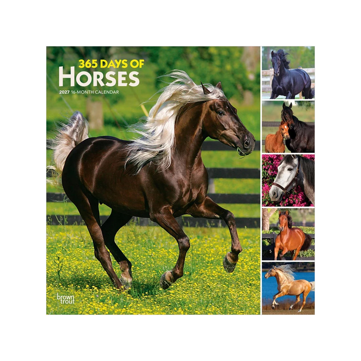 Calendrier carré BrownTrout 365 Jours de Chevaux 2027
