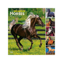 Calendrier carré BrownTrout 365 Jours de Chevaux 2027