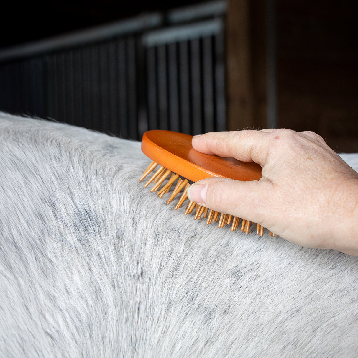 Epona Wood Curry Love Brush