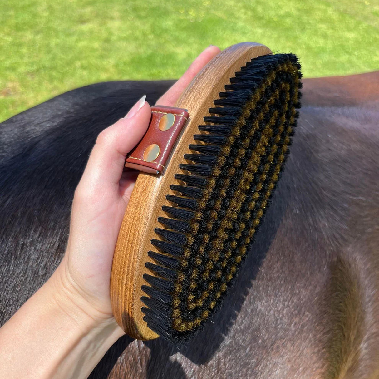 Brosse pour le corps en poils de cuivre Hairy Pony