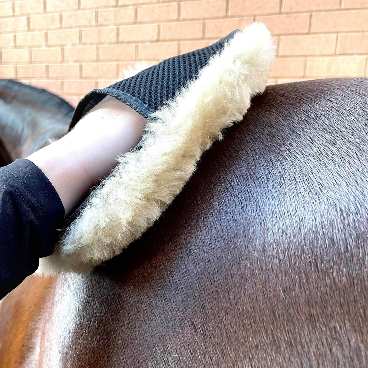 Gant de polissage pour chevaux en laine mérinos Hairy Pony