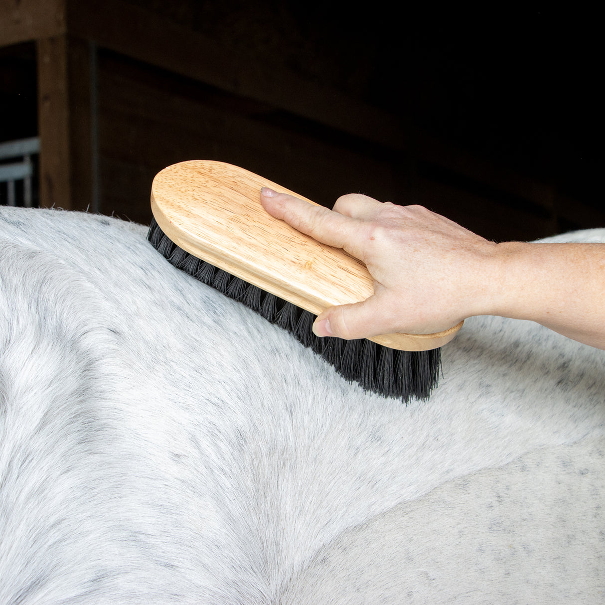 Supra Long Bristle Stiff Dust Brush