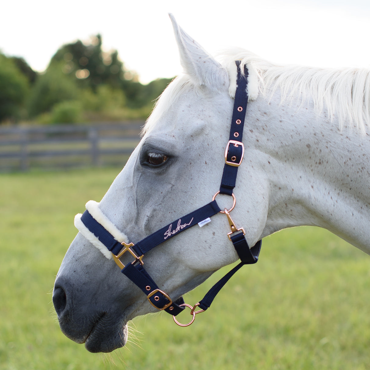 Shedrow Rose Gold Sheepskin Lined Halter