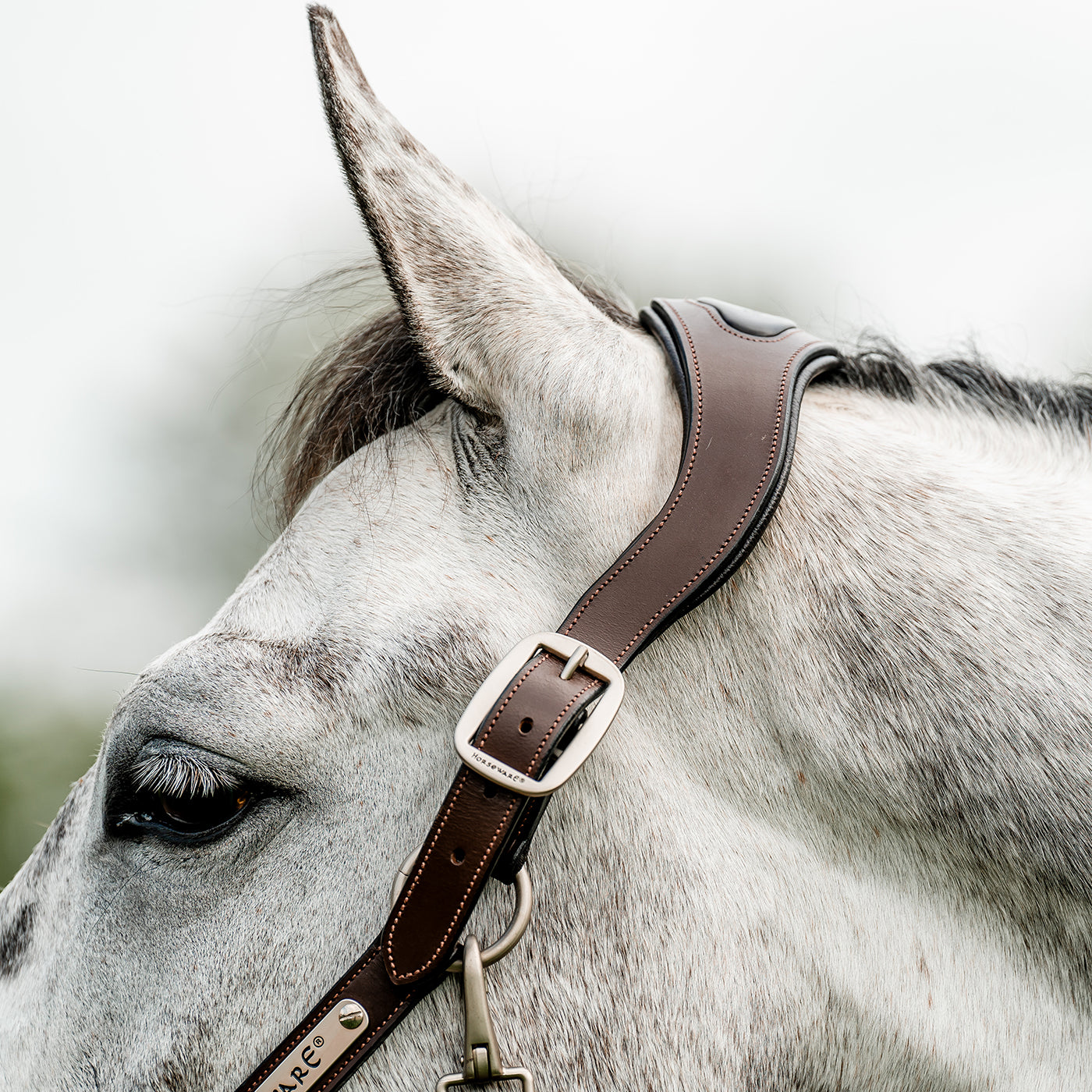 Horseware Signature Braided Breakaway Halter – Greenhawk
