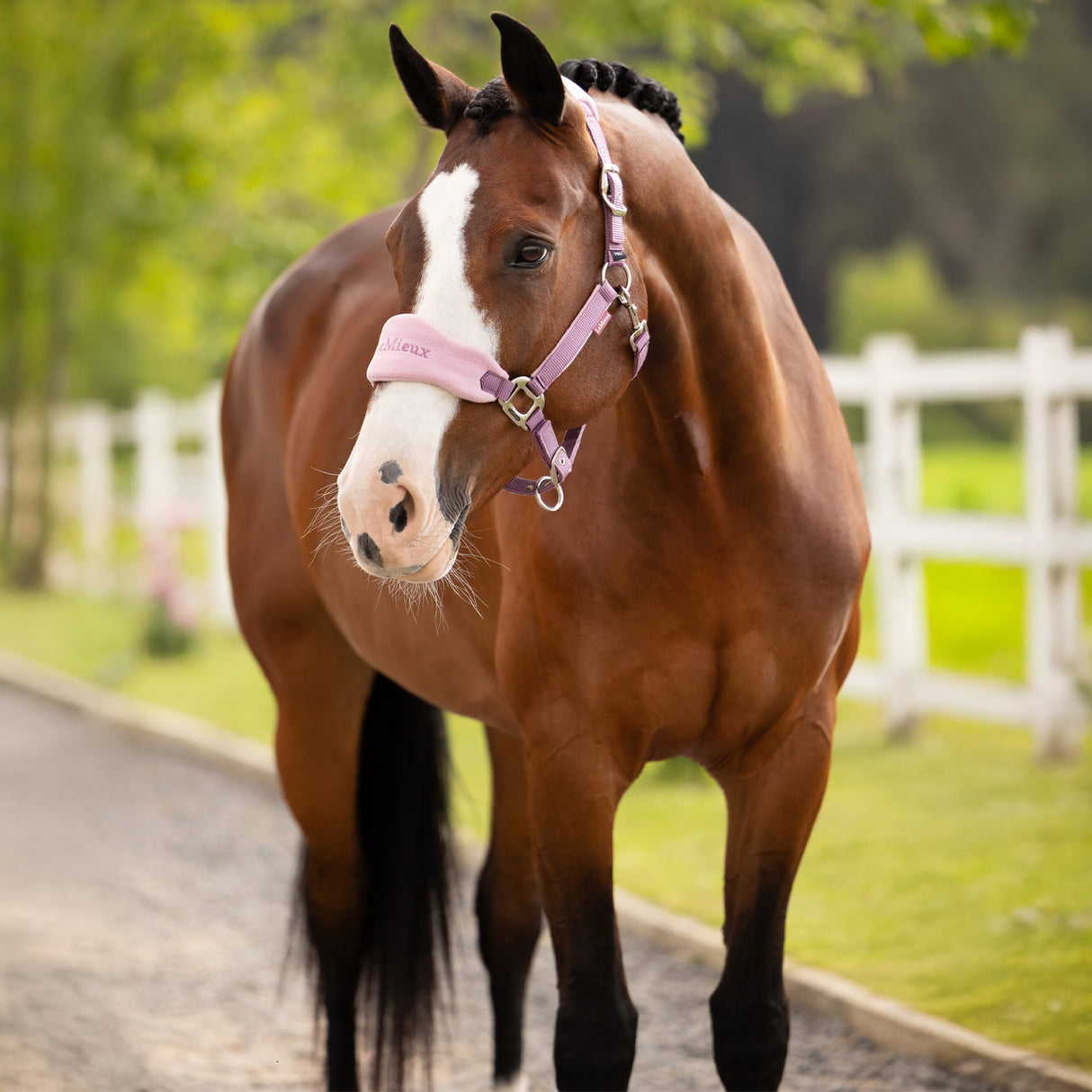 LeMieux Vogue Halter & Lead Rope