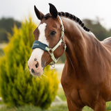 LeMieux Vogue Halter & Lead Rope