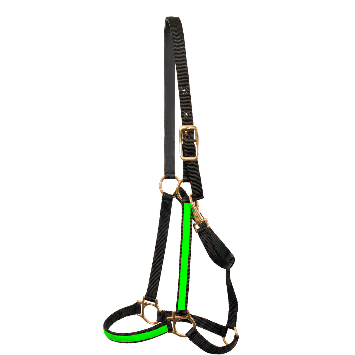 Flasher Track Lite Two Tone Nylon Halter