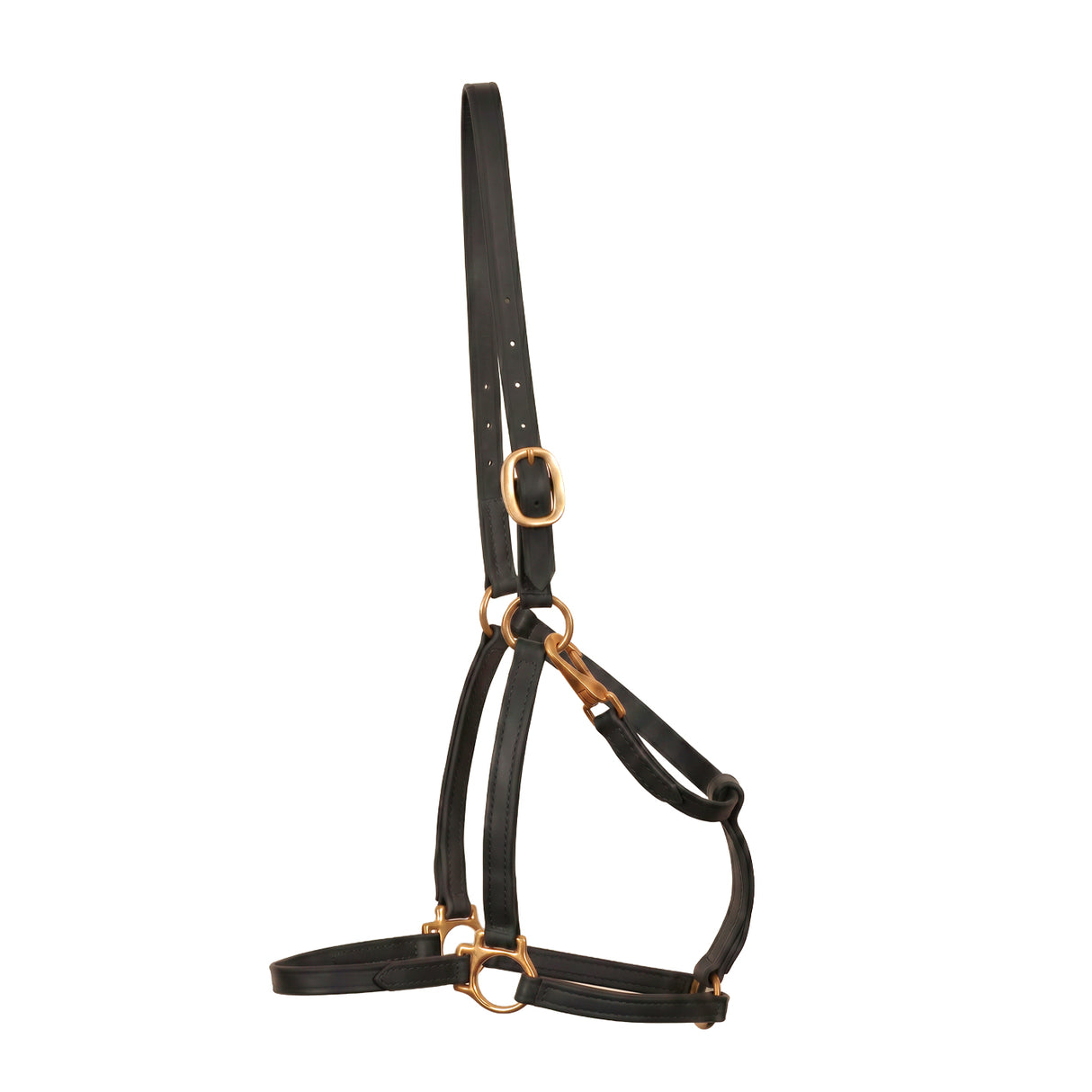 Flasher Stable Licol