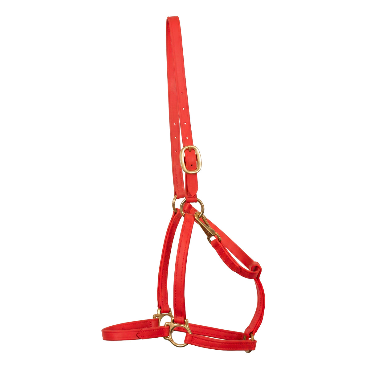 Flasher Stable Halter