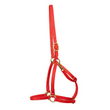 Flasher Stable Licol