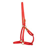 Flasher Stable Halter