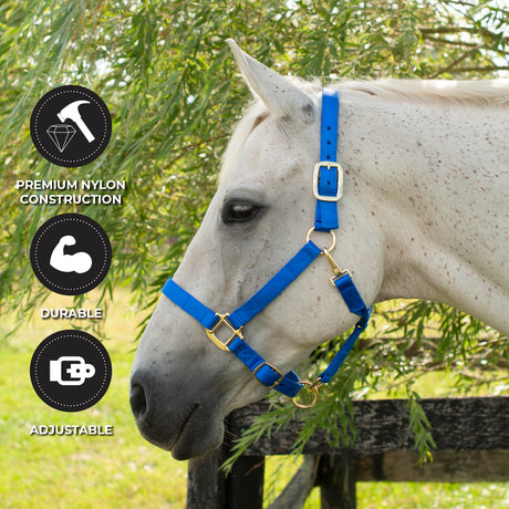 Shedrow Deluxe Halter