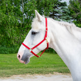 Licol Shedrow Deluxe 3/4 po