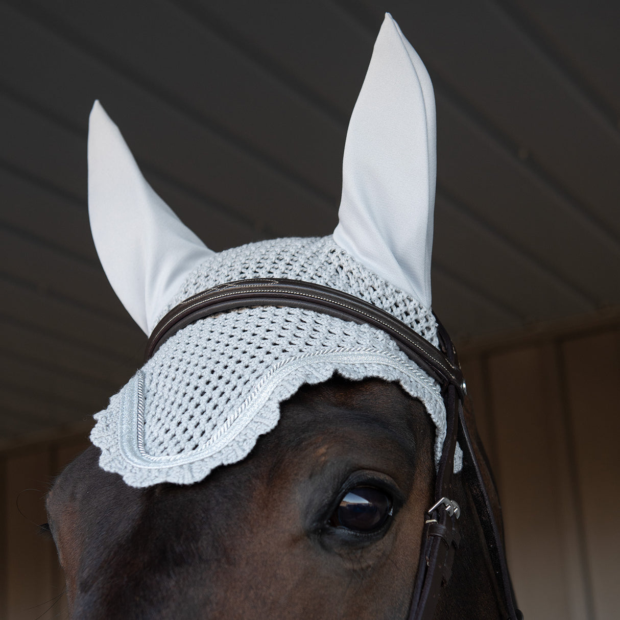 Shedrow Scalloped Veil