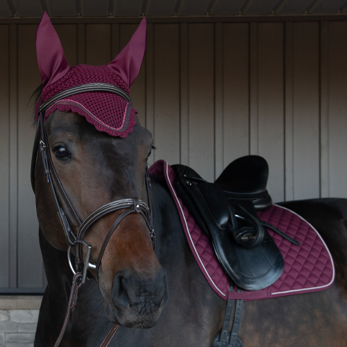 Shedrow Scalloped Fly Veil