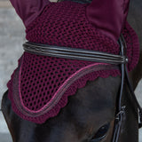 Shedrow Scalloped Fly Veil