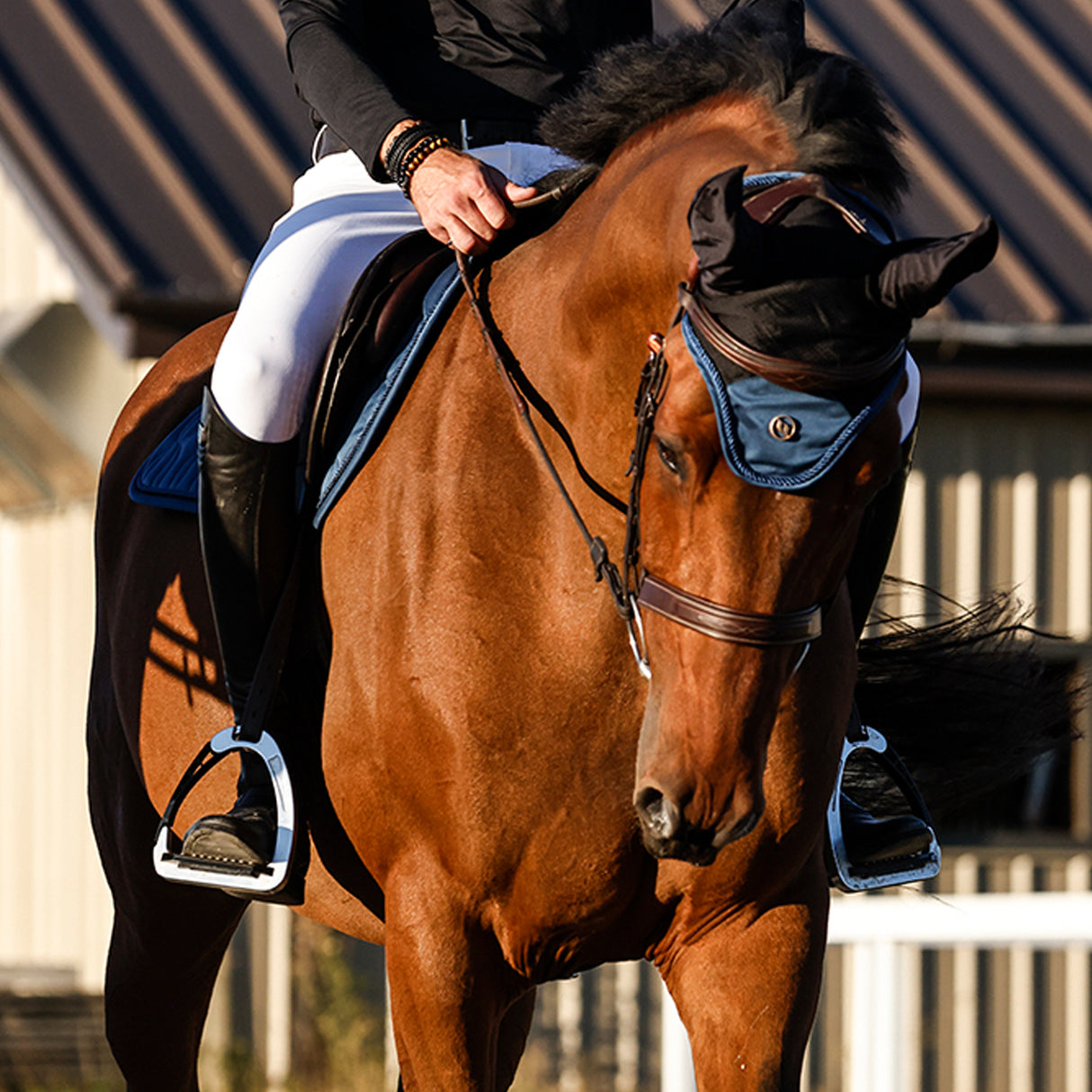 Voile anti-mouches Back on Track Collection Deep Nights