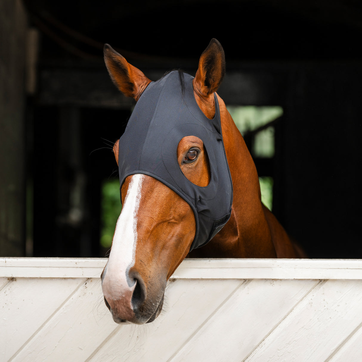 Horseware Ionic Therapy Calming Face Mask