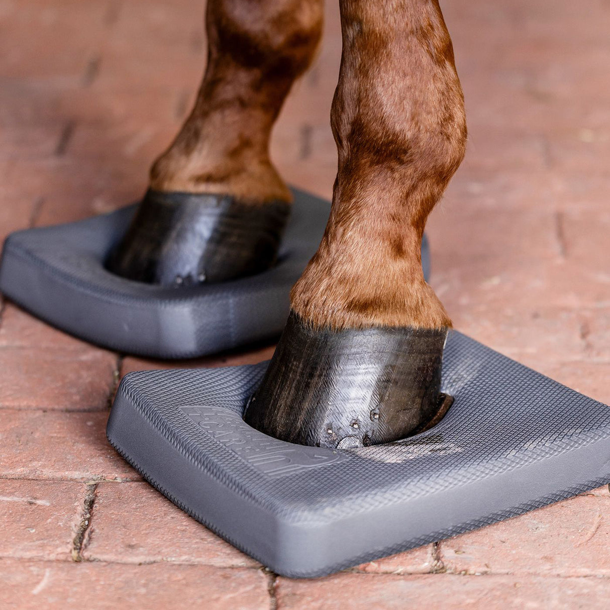 Waldhausen Balance Pads