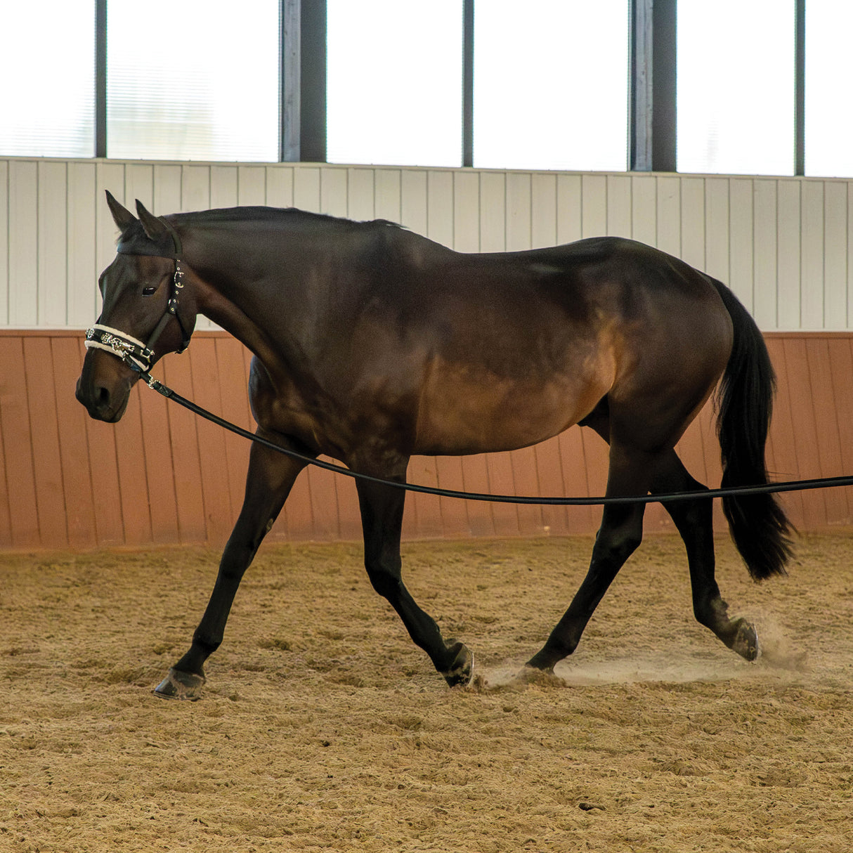 Caveçon de longe Supra