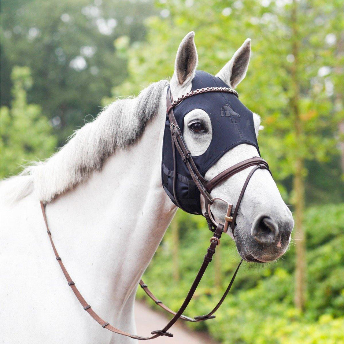 Tack & Equipment – Greenhawk Equestrian Sport