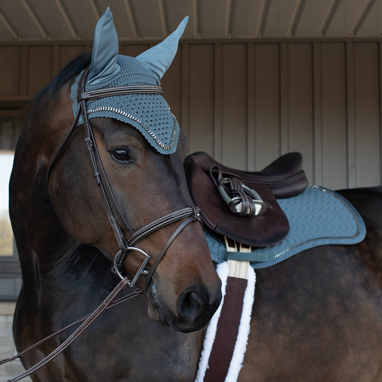 Shedrow Saber Fly Veil