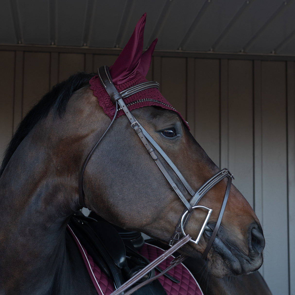 Shedrow Saber Fly Veil