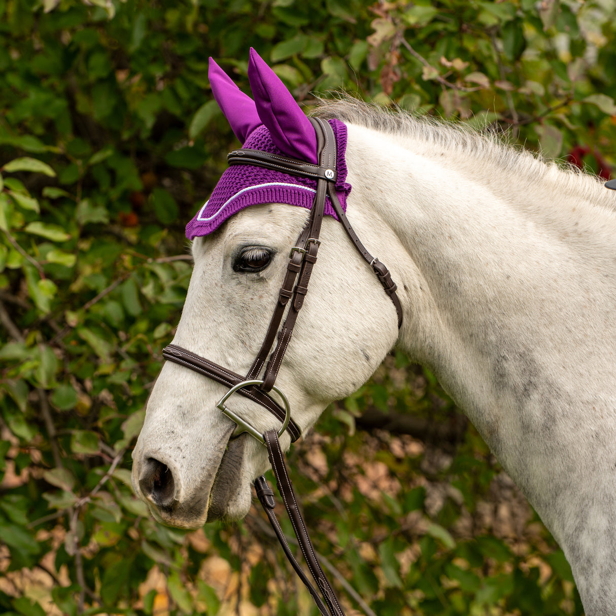 Shedrow Pony Fly Veil