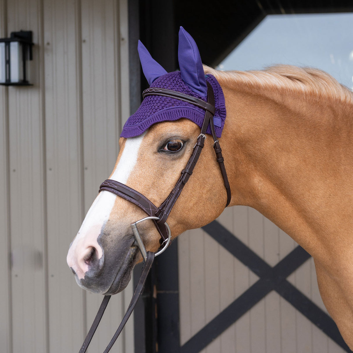 Bonnet anti-mouches Shedrow Pony