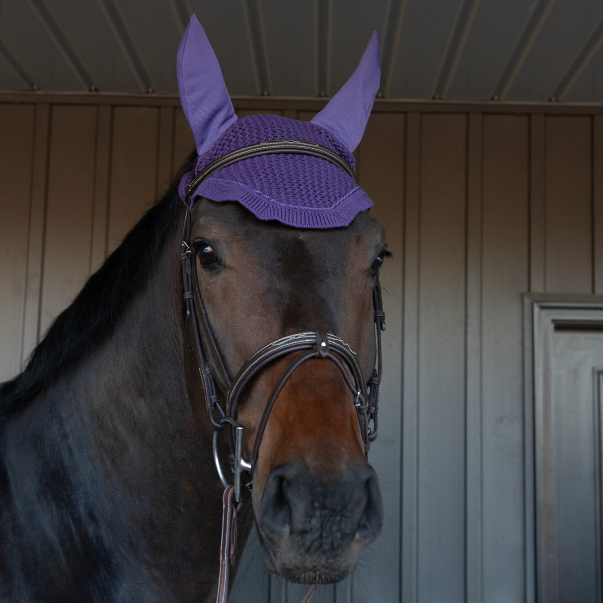 Shedrow Fly Veil