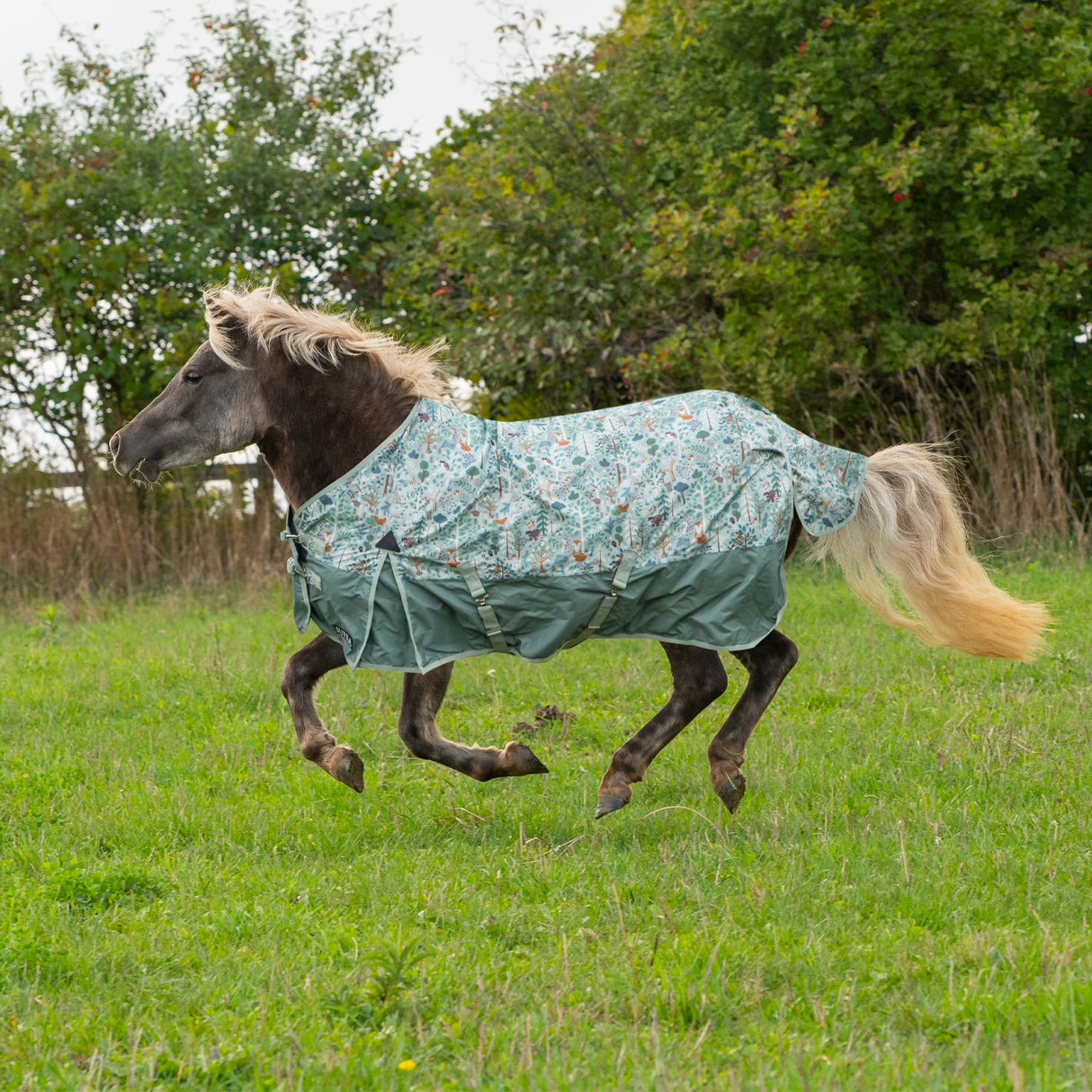 Couverture de pluie Supra Mini