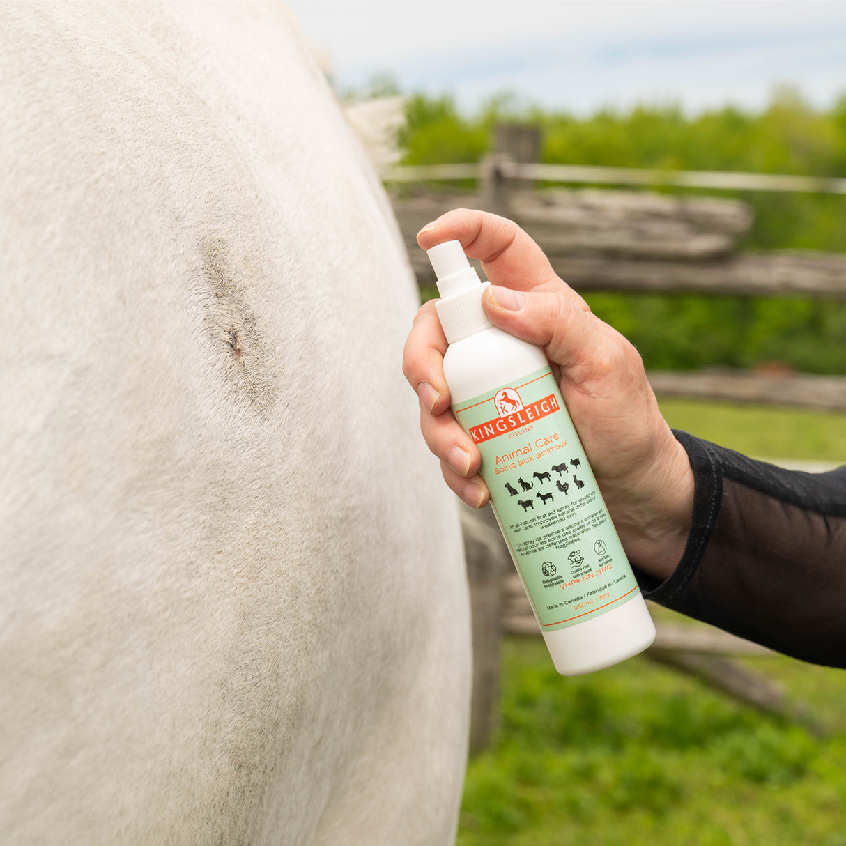 Kingsleigh Equine Animal Care 250 mL