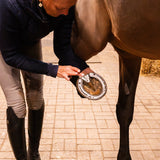 Kingsleigh Equine Healing Balm 250 mL