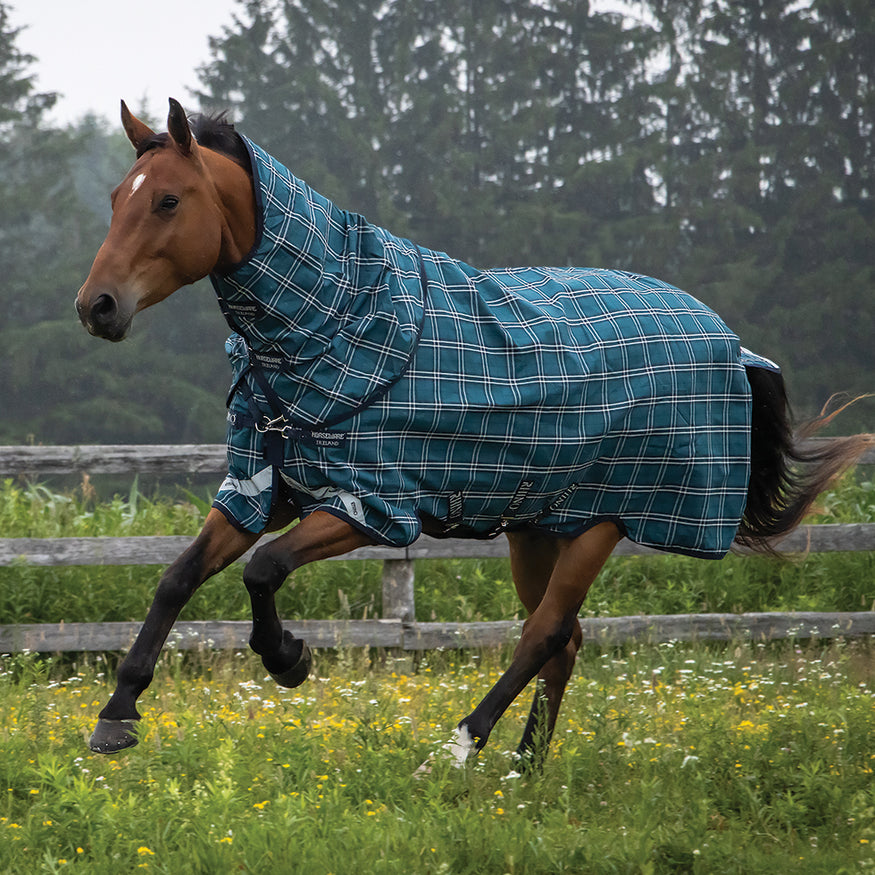 Greenhawk Equestrian Sport: Canada's #1 Online Equestrian Shop