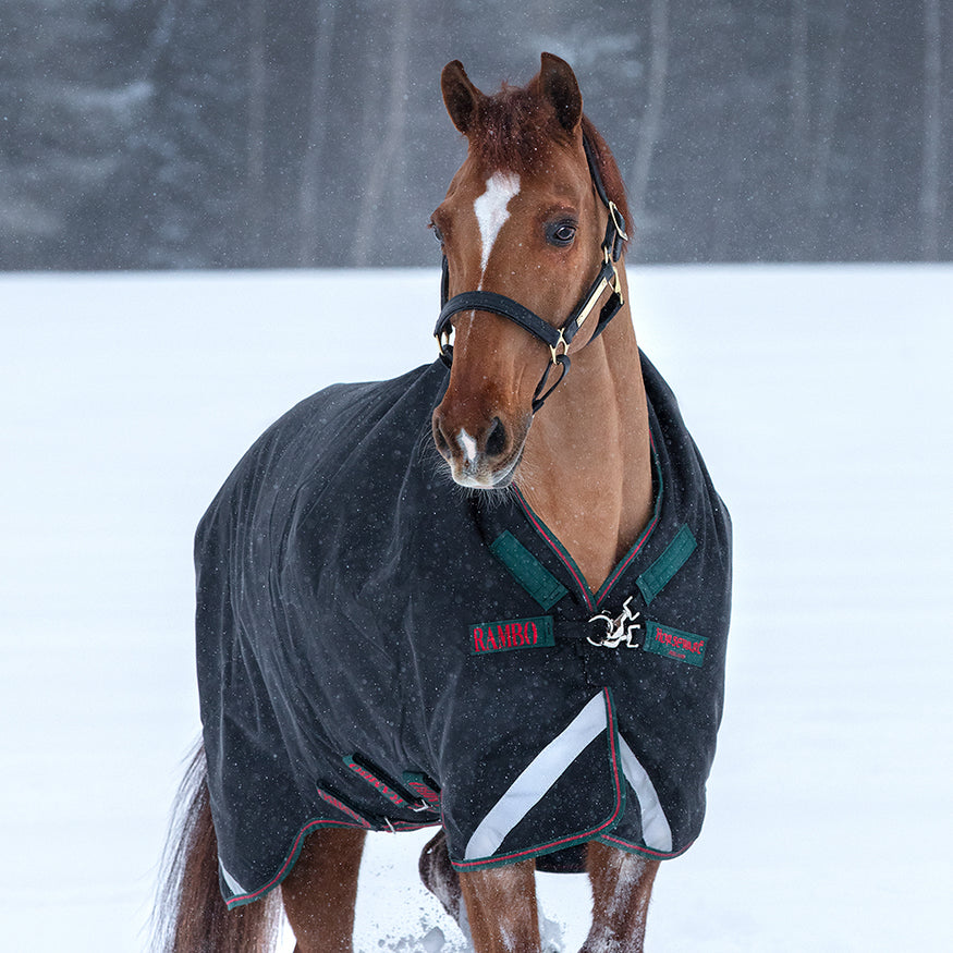 Greenhawk Equestrian Sport: Canada's #1 Online Equestrian Shop