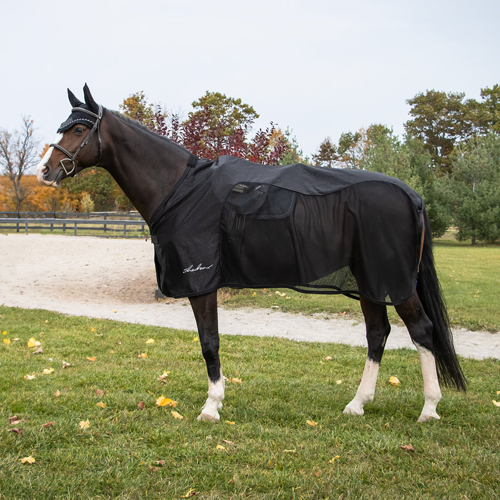 Greenhawk Equestrian Sport: Canada's #1 Online Equestrian Shop
