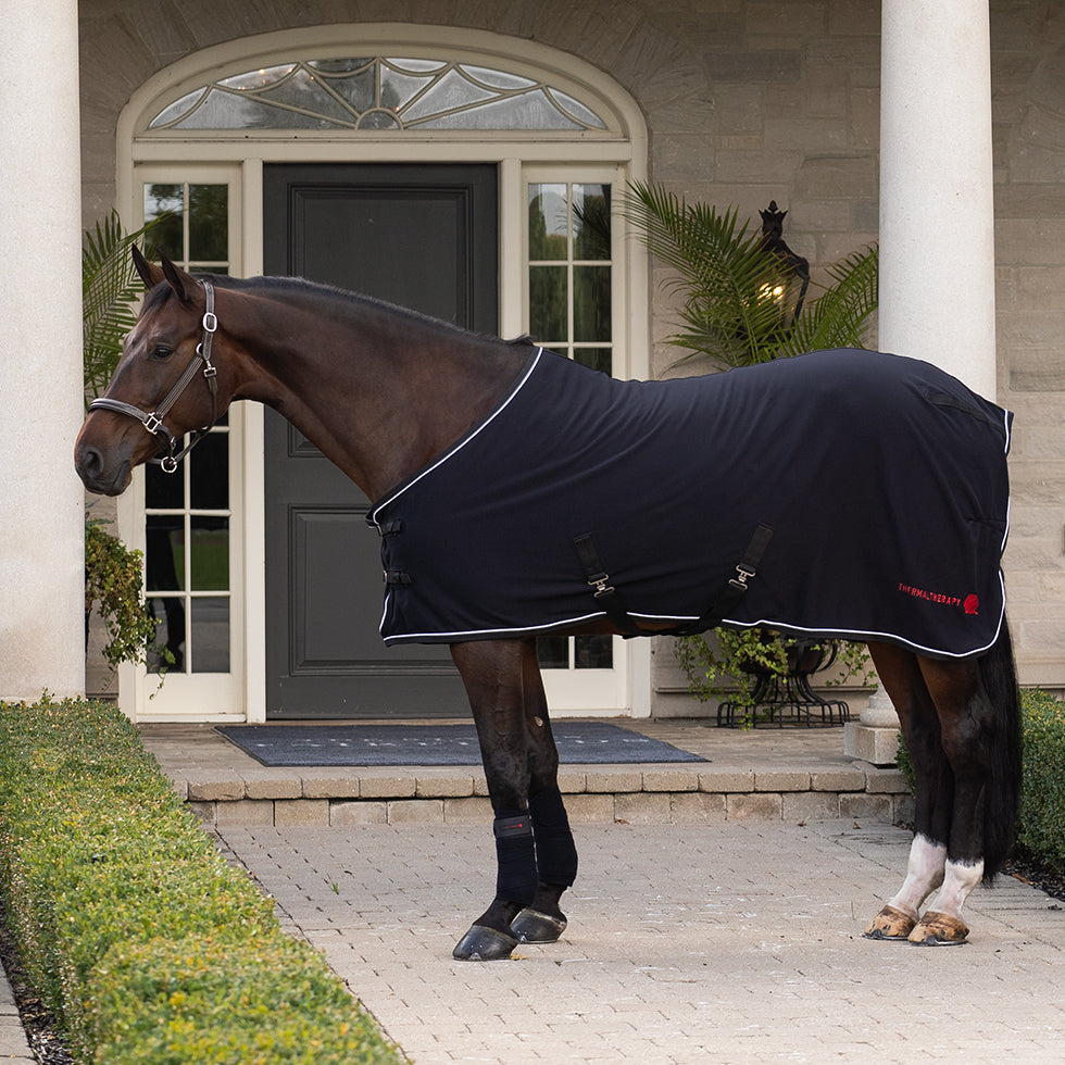 Greenhawk Equestrian Sport: Canada's #1 Online Equestrian Shop