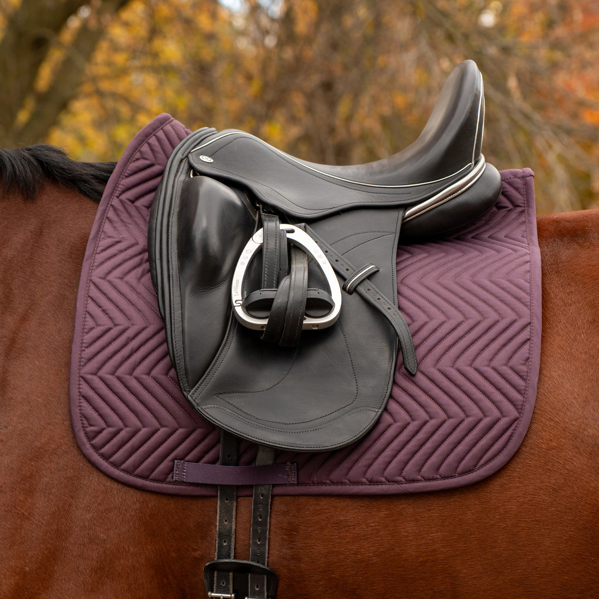Tapis de selle de dressage Everyday Essential