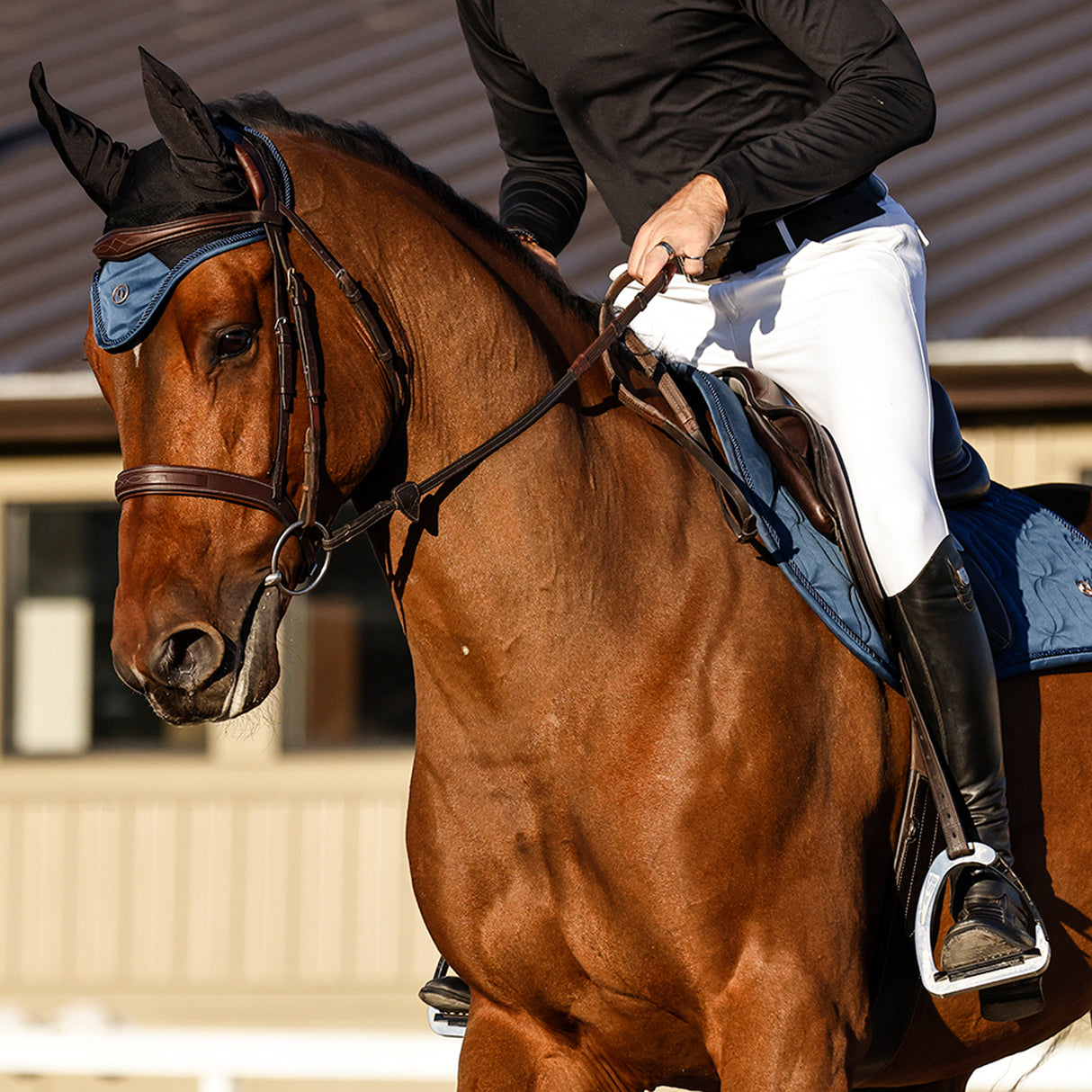 Voile anti-mouches Back on Track Collection Deep Nights