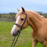 Belle & Bow Bridon à muserolle large Sugarbrook - Poney