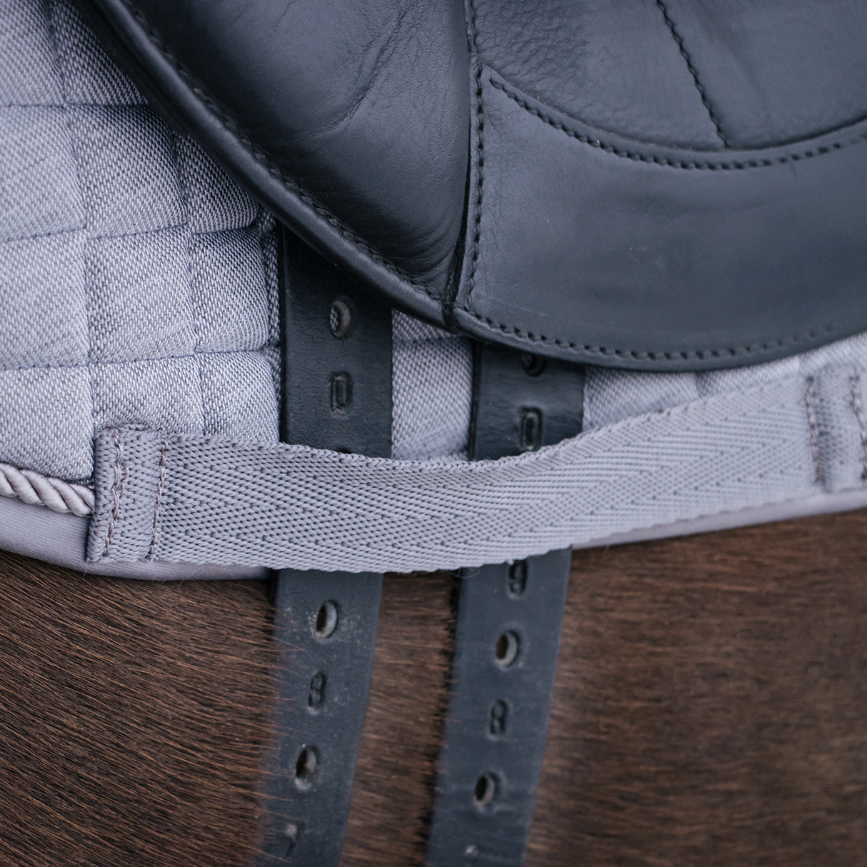 Shedrow Icon Saddle Pad - Dressage