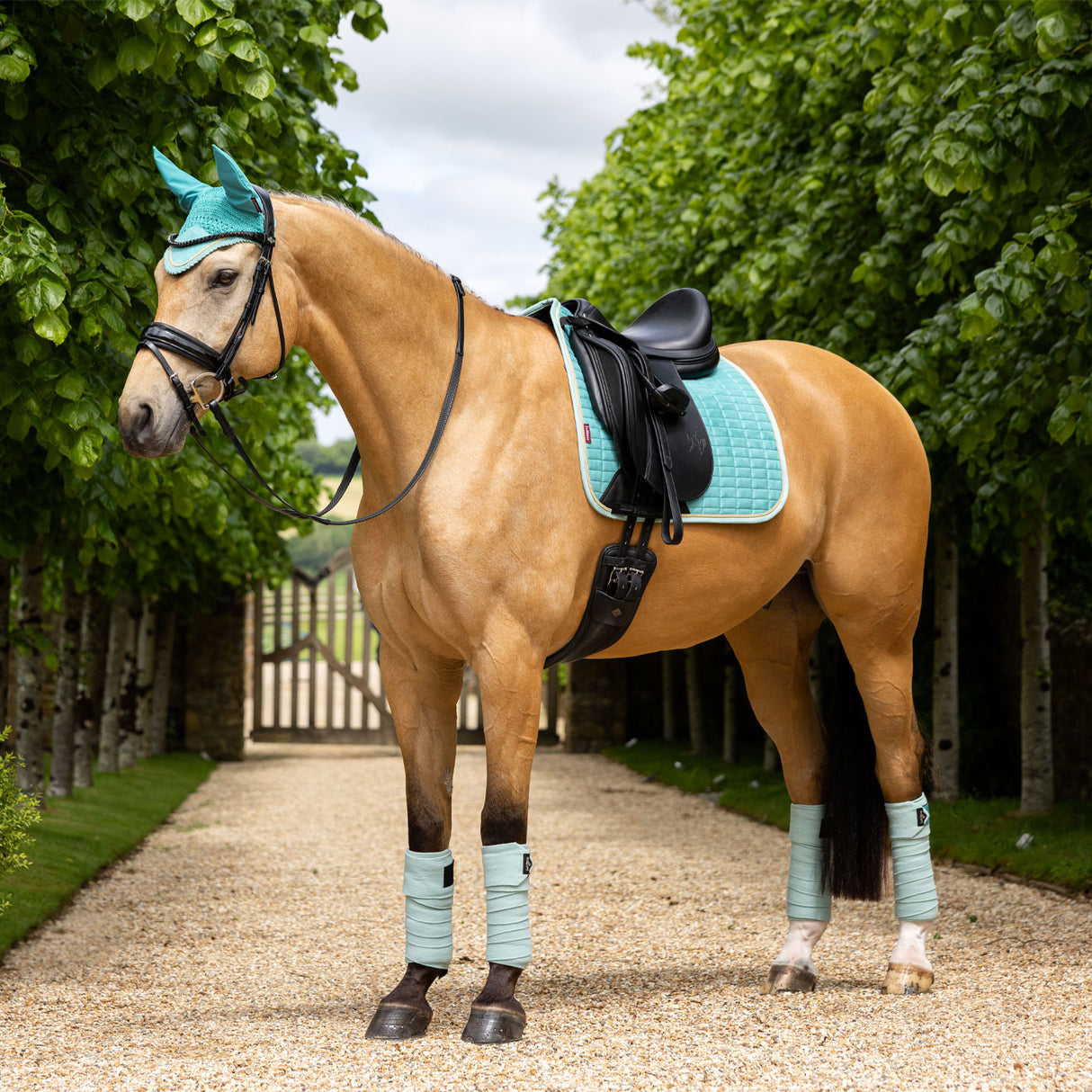 LeMieux Suede Dressage Square Saddle Pad