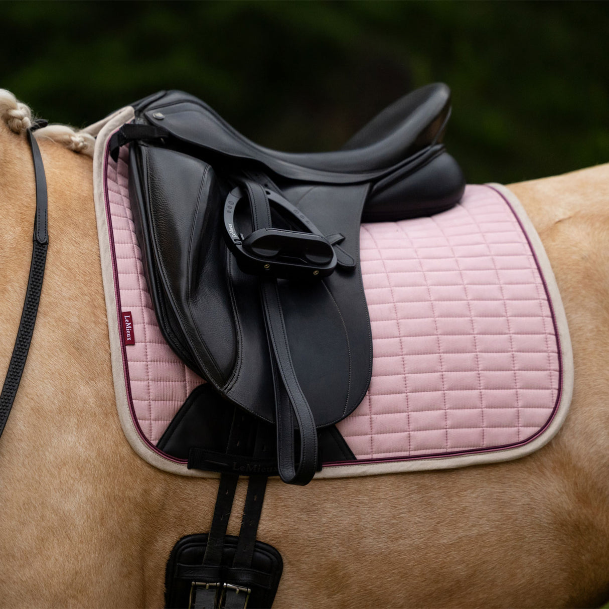 LeMieux Suede Dressage Square Saddle Pad