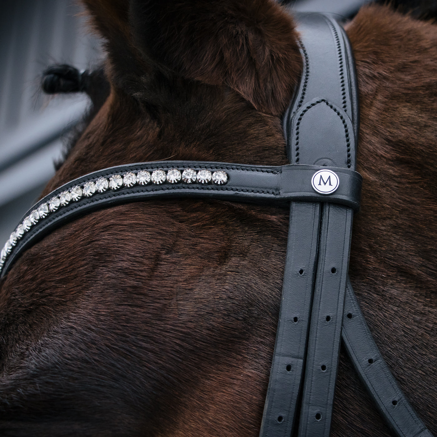 Mondega Laval Dressage Bridle – Greenhawk Equestrian Sport