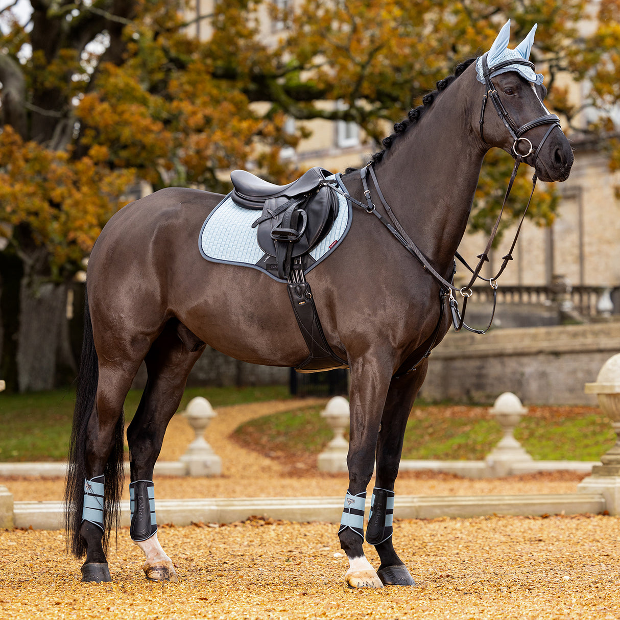 Tapis de selle carré en daim classique LeMieux à contact étroit