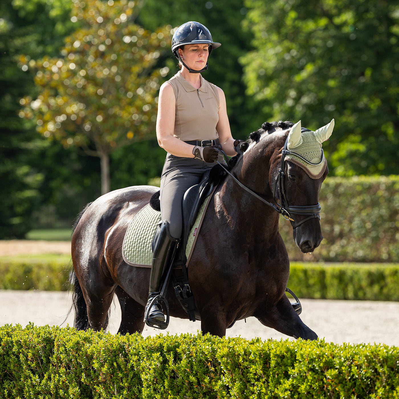 LeMieux Classic Suede Dressage Square Saddle Pad – Greenhawk Equestrian  Sport