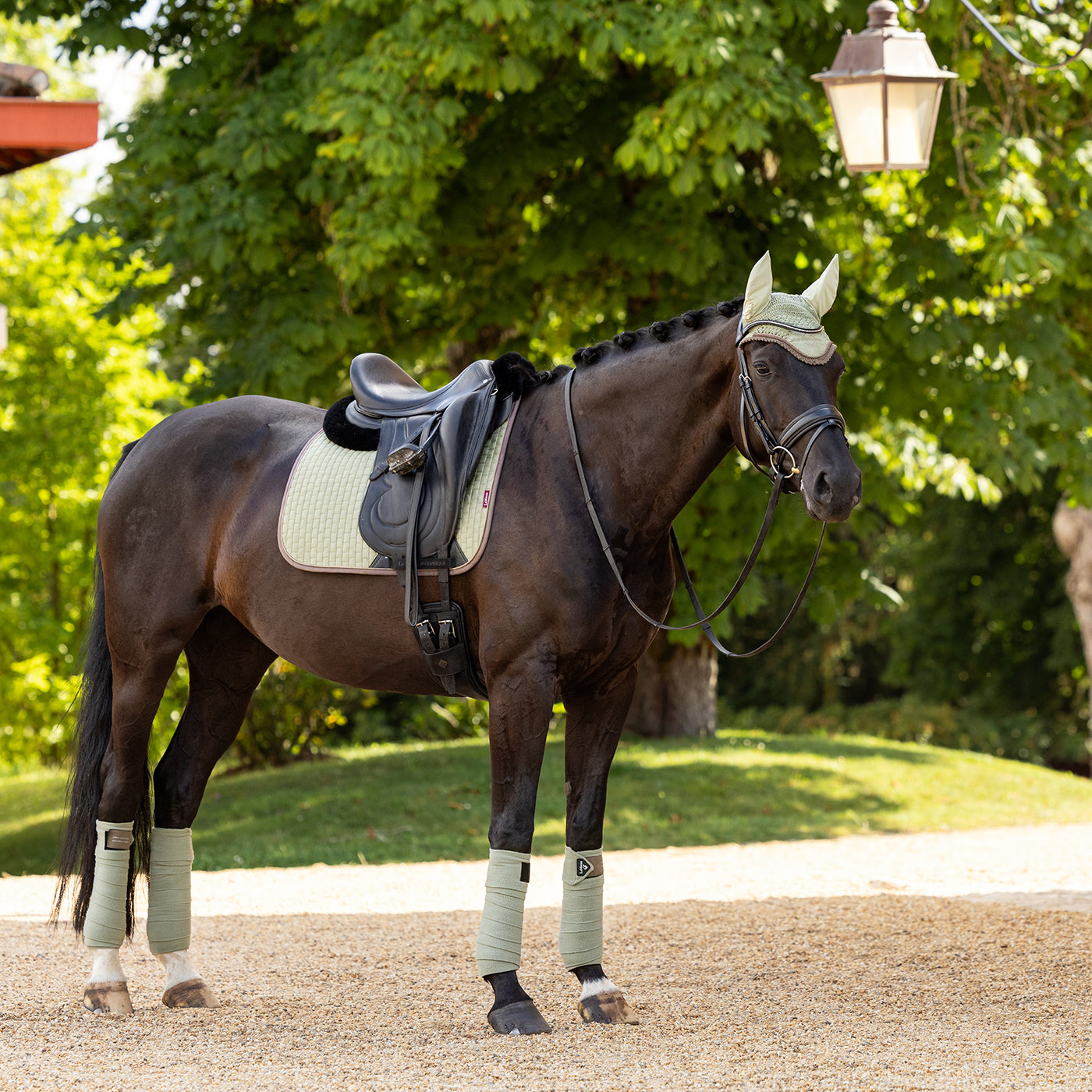 LeMieux Classic Suede Dressage Square Saddle Pad – Greenhawk Equestrian  Sport